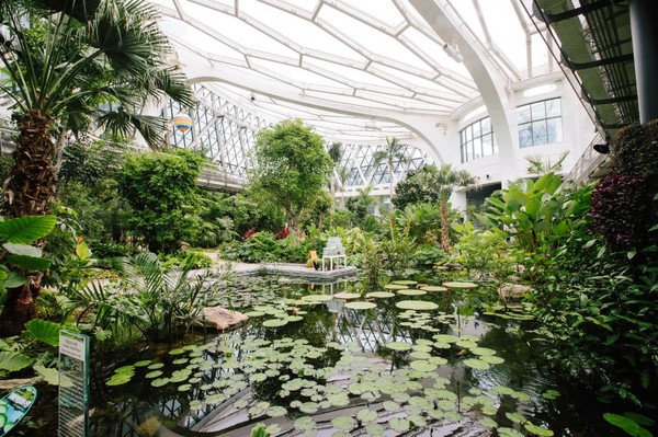 서울식물원 온실. (사진=서울시 제공)