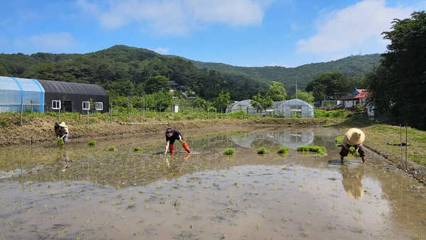(사진=EBS ‘한국기행’ 스틸 컷)