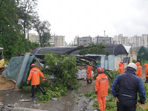 (사진=서울시 제공)