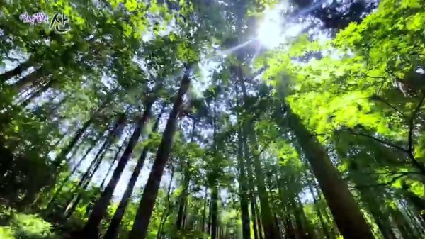 (사진=KBS ‘영상앨범 산’ 방송화면)