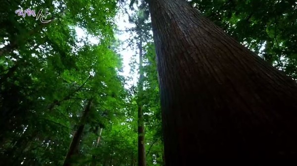 (사진=KBS ‘영상앨범 산’ 방송화면)