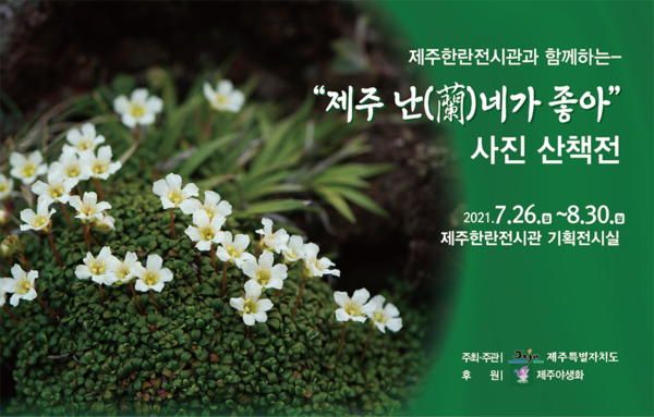 제주한란전시관 기획전시실에서 ‘제주 난(蘭) 네가 좋아!’가 열린다. (사진=제주도 제공)