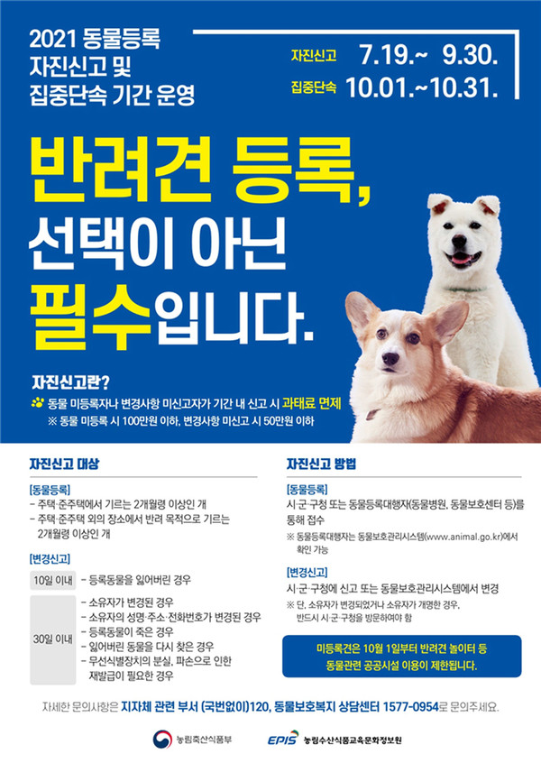 서울시가 동물등록 자진신고 기간을 운영한다. 