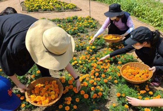 (사진=서울시 제공)