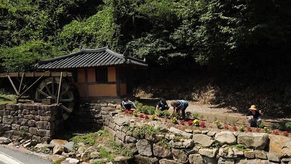 (사진=EBS ‘한국기행’ 스틸 컷)