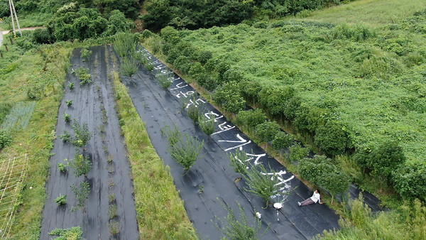 (사진=EBS ‘한국기행’ 스틸 컷)