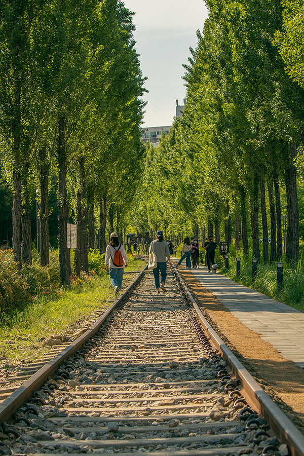 경춘선숲길. (사진=서울시 제공)