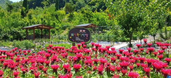 세종시 첫 민간정원 목인동. (사진=세종시 제공) 