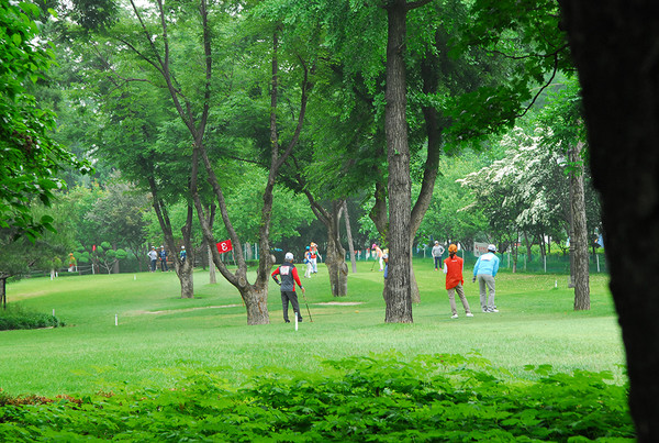 (사진=서울시 제공)