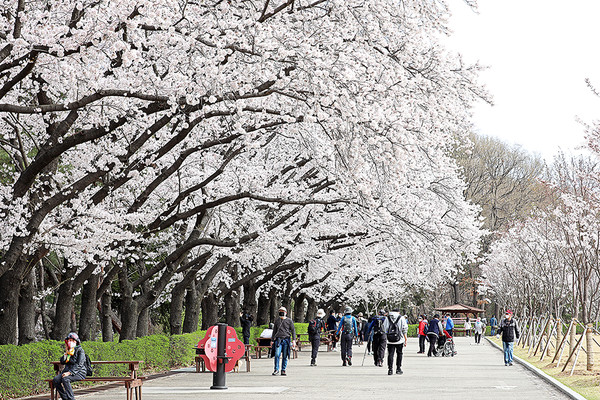 (사진=서울대공원 제공)