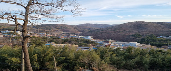 (사진=부산시 제공) 