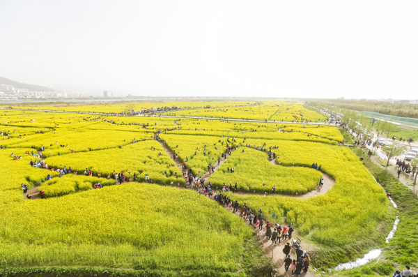 (사진=부산시 제공)