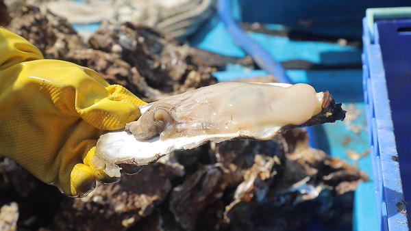 (사진=EBS ‘한국기행’ 스틸 컷)