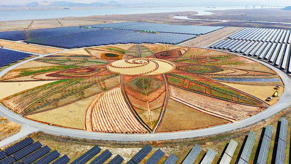 (사진=해남군 제공)