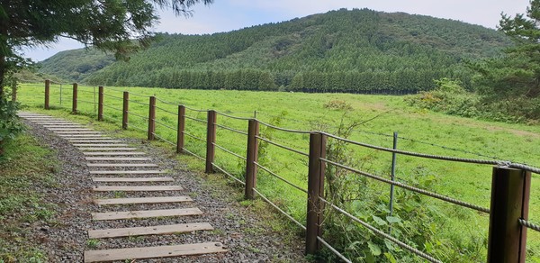 물영아리오름. (사진=제주도 제공)