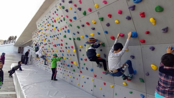 인공암벽 오르기 체험. (사진=제주도 제공)
