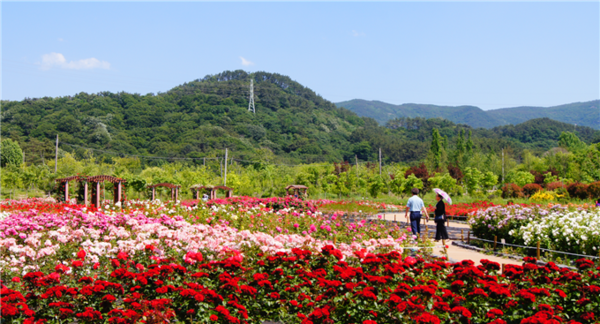 (사진=부산시 제공)