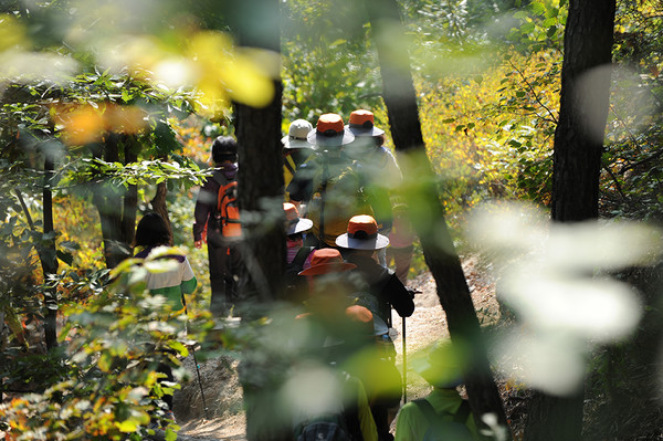 (사진=서울시 제공)