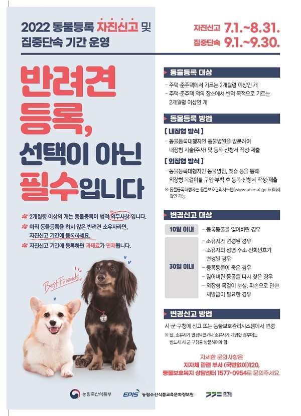 동물등록 자진신고 기간 운영 포스터. 