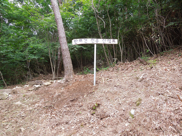 (사진=산림청 제공)