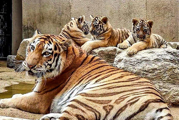 (사진=서울시 제공)