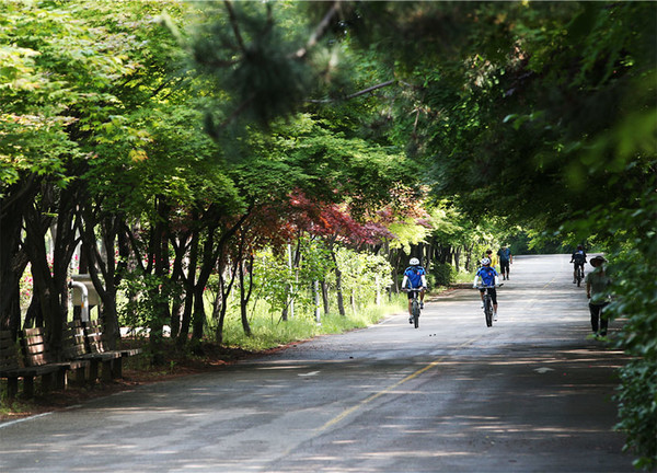 남동구 소래로 근경. (사진=인천시 제공)