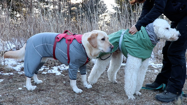 (사진=EBS ‘한국기행’ 스틸 컷)