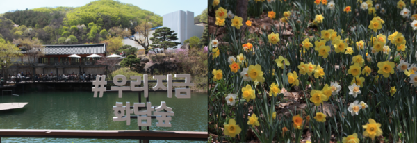 광주 화담숲. (사진=경기관광공사 제공)