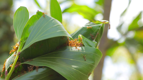 (사진=EBS ‘세계테마기행’ 스틸 컷)