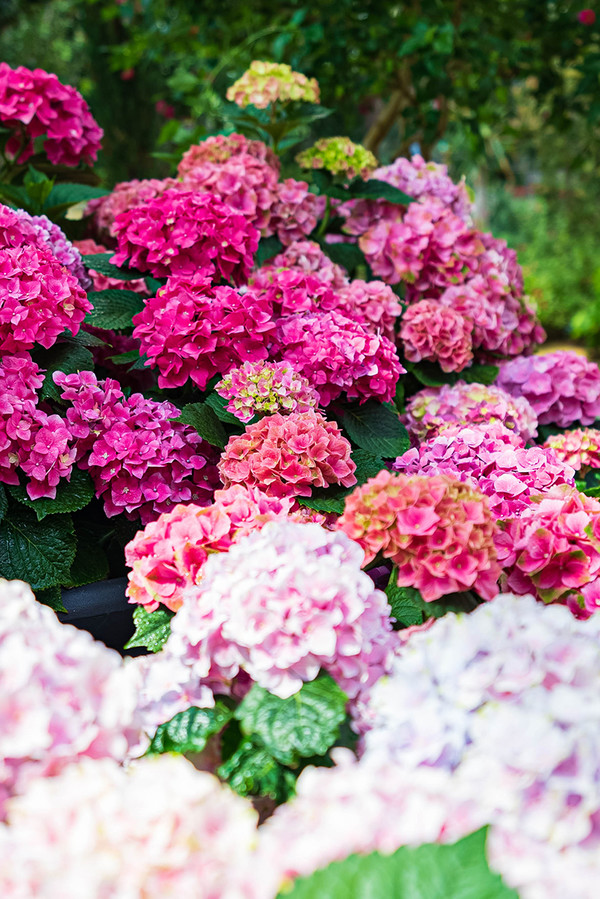 (사진=서울시 제공)