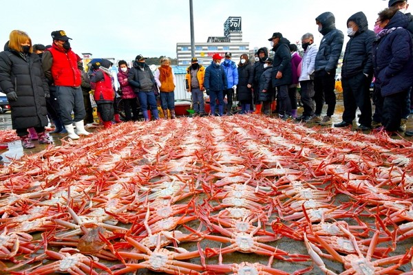 울진대게와 붉은대게축제 현장. (사진=한국관광공사 제공)