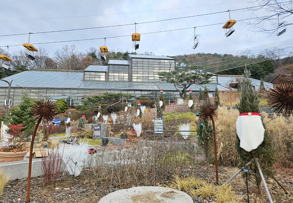 식물원 속 산타마을 전경. (사진=서울대공원 식물원 제공)