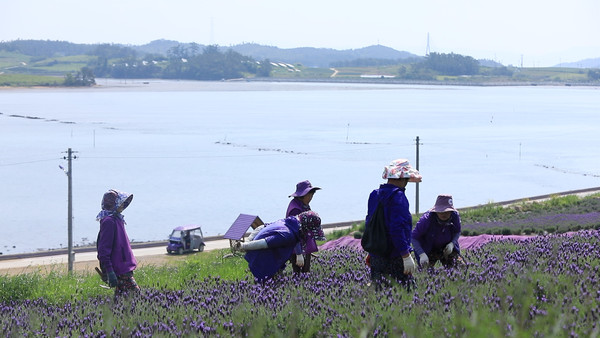 (사진=EBS ‘한국기행’ 스틸컷)