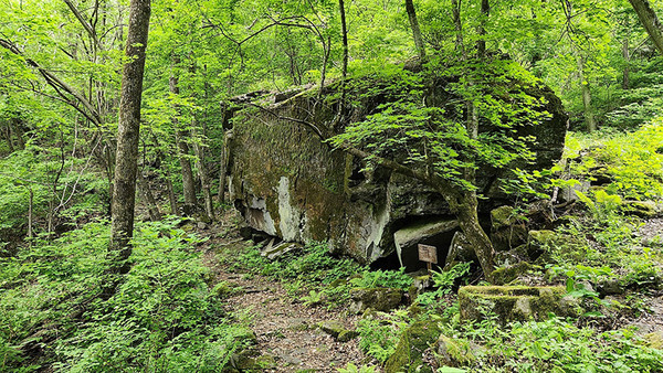 두타산휴양림 털보바위. (사진=산림청 제공)