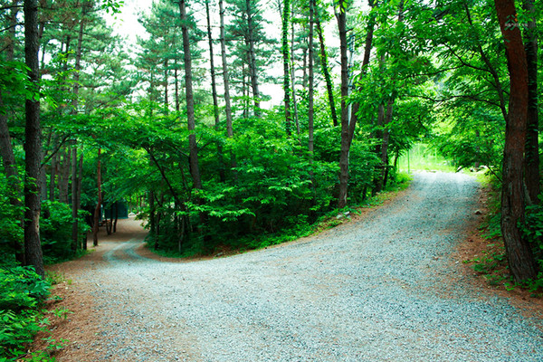 희리산해송휴양림 산책로. (사진=산림청 제공)