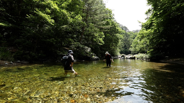 (사진=EBS ‘한국기행’ 스틸컷)