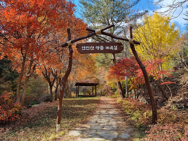 연인산 명품 계곡길. (사진=산림청 제공)