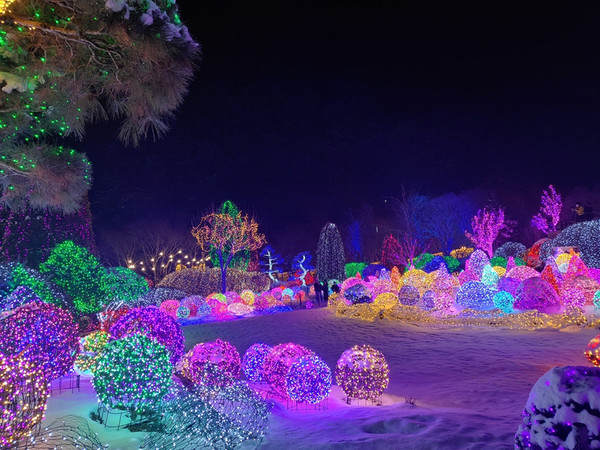 아침고요수목원 오색별빛정원. (사진=코레일관광개발 제공) 