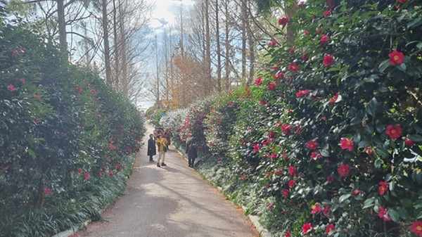 (사진=신안군 제공)