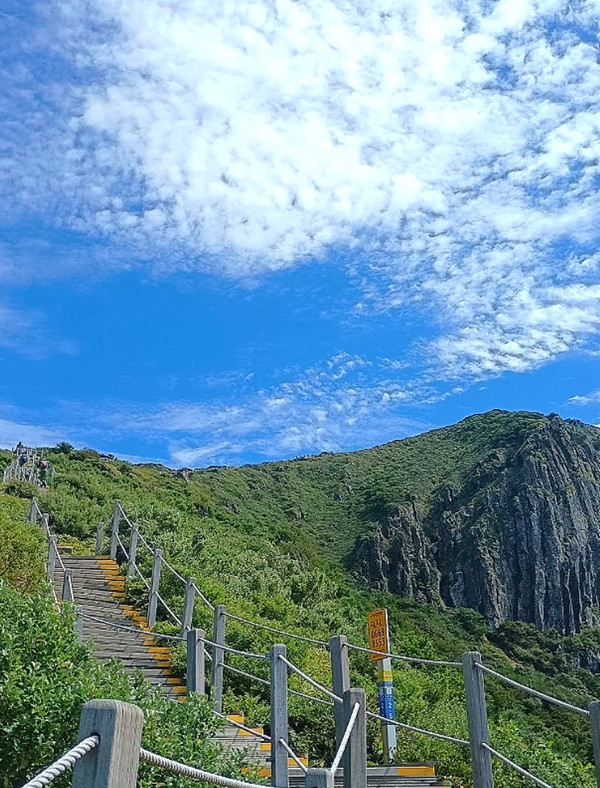 (사진=제주도 제공)