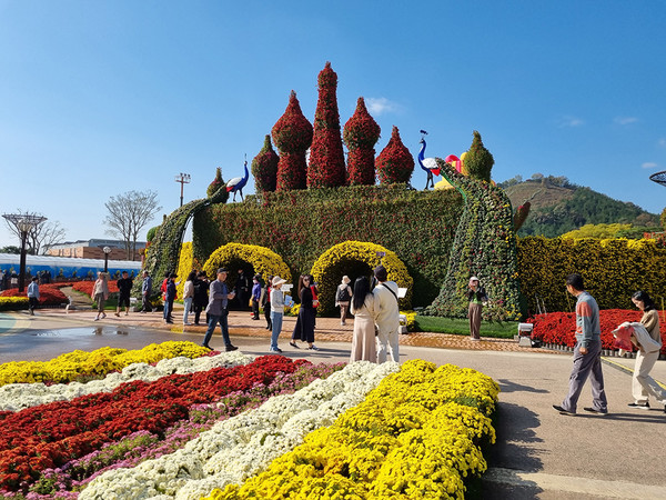 대한민국 국향대전. (사진=함평군 제공)