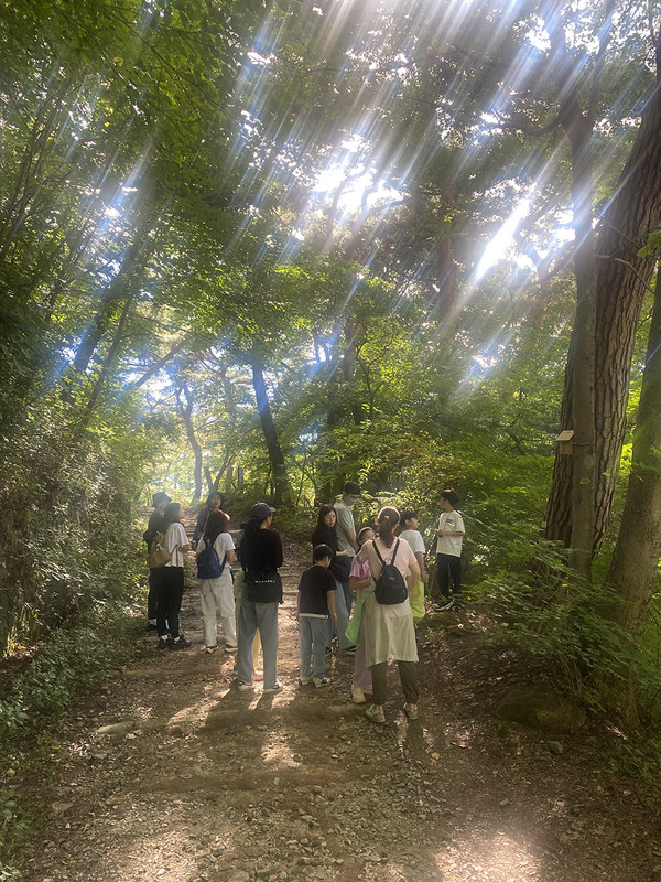 숲 생태학교 프로그램. (사진=경기도 제공)