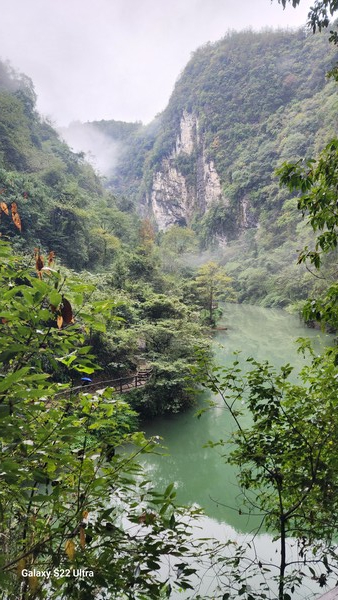 형산숲 전경. (사진=이희찬)