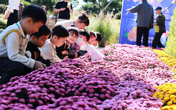 대한민국 국향대전. (사진=함평군 제공)