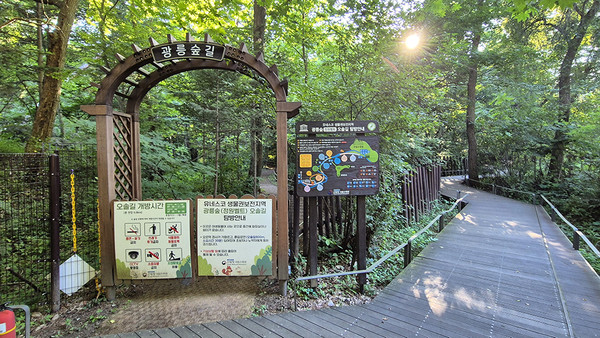 (사진=산림청 제공)