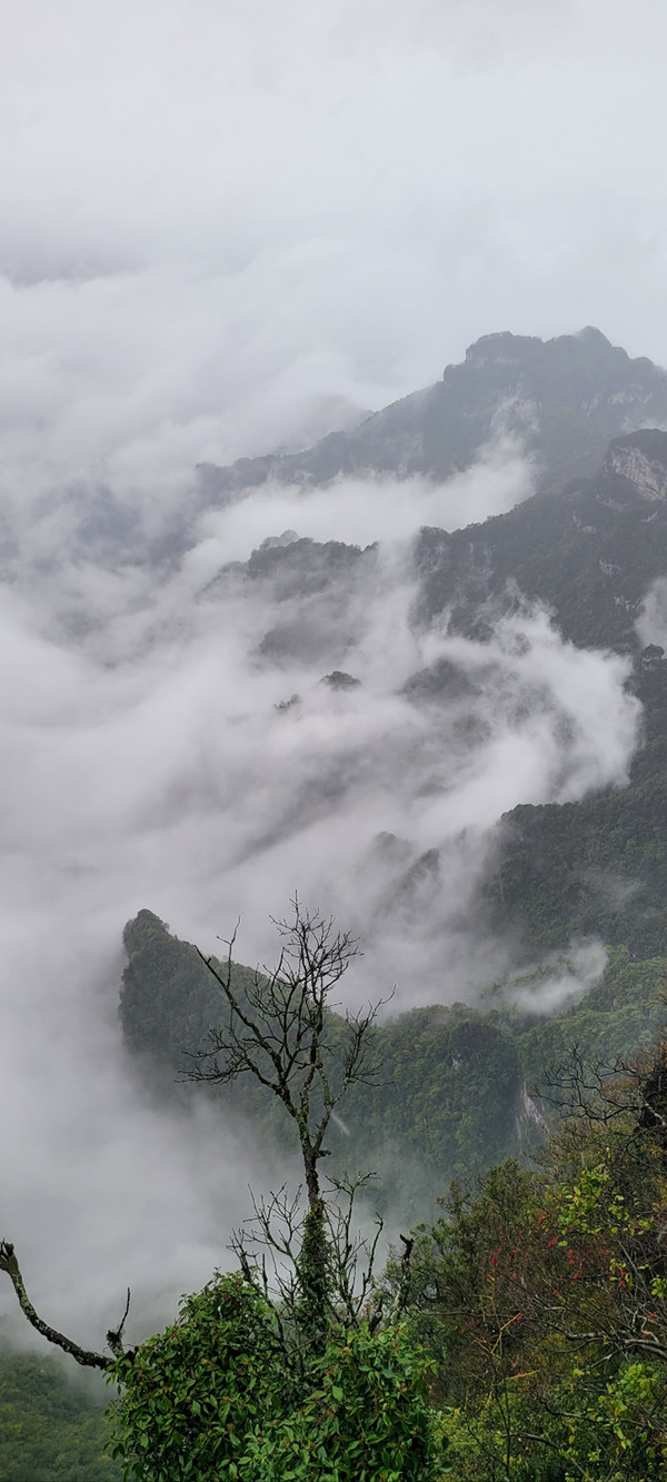 안개 속 비경. (사진=이희찬)