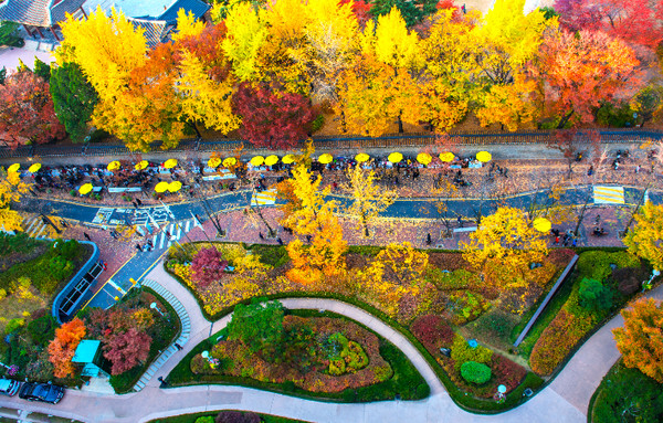 덕수궁 돌담길 단풍 풍경. (사진=서울시 제공)
