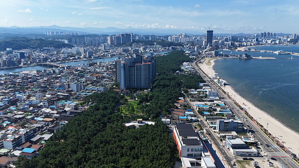 경북 포항시 남구 송도동 송도솔밭도시숲 전경. (사진=산림청 제공)
