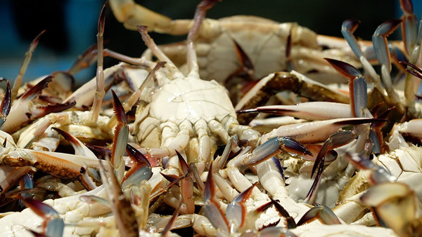 (사진=EBS ‘한국기행’ 스틸컷)